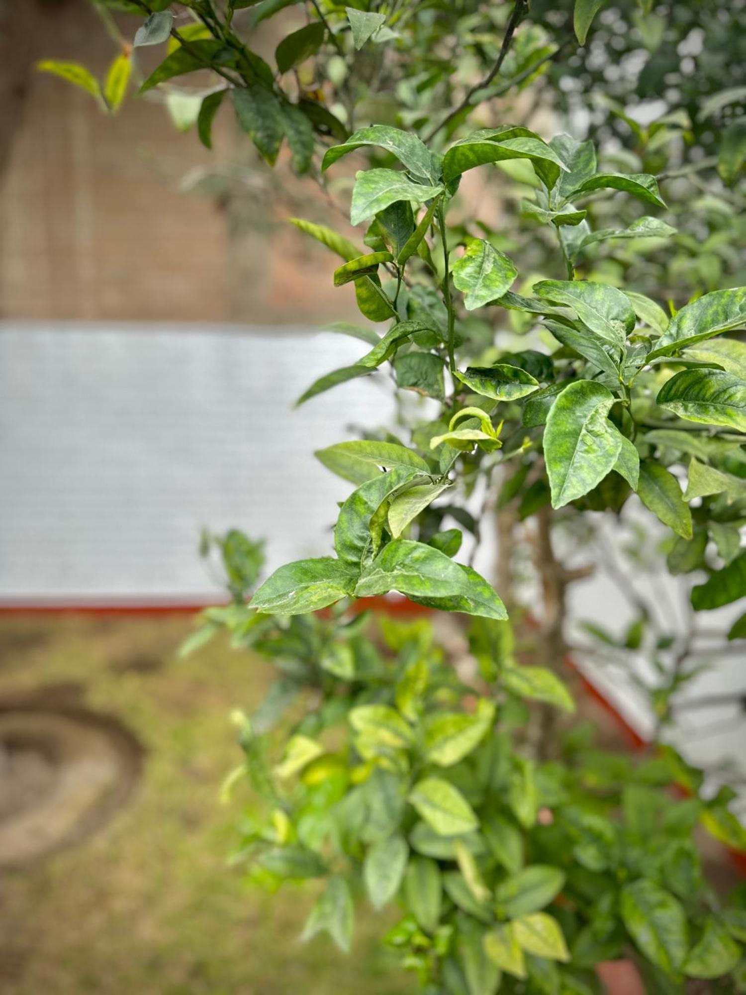 Casa Jesus Maria - Zona Residencial Lima
